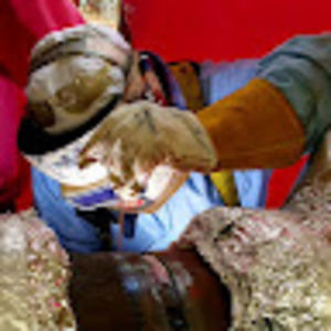 Meet your Posher, Johnny